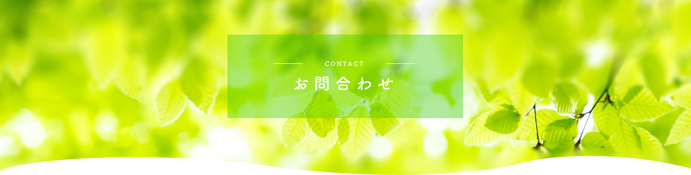 contact